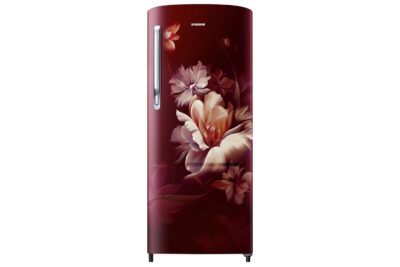 SAMSUNG REF RR20H2723RZ/NL