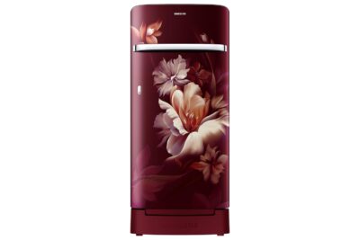 SAMSUNG REF RR21H2H24RZ/HL
