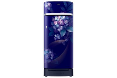SAMSUNG REF RR23H2H34HS/HL